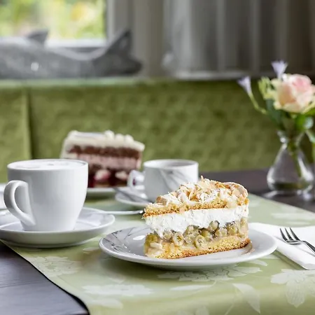 Hotel Plusnaturhotel Direkt Am Ederseeufer Waldhotel Wiesemann Und Ferienapartments