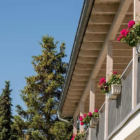 Plusnaturhotel Direkt Am Ederseeufer Waldhotel Wiesemann Und Ferienapartments 3*